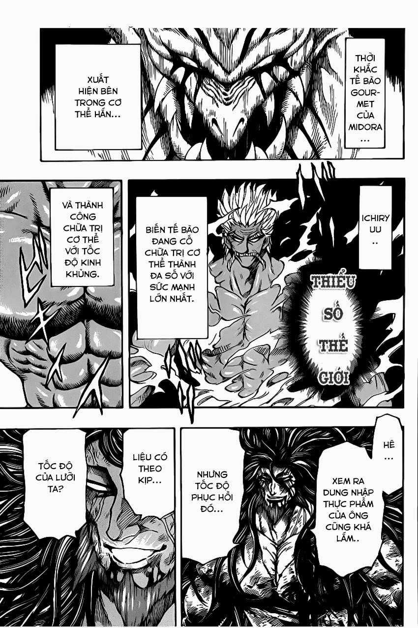 Toriko - Thợ Săn Ẩm Thực - Chapter 254 - Trang 8