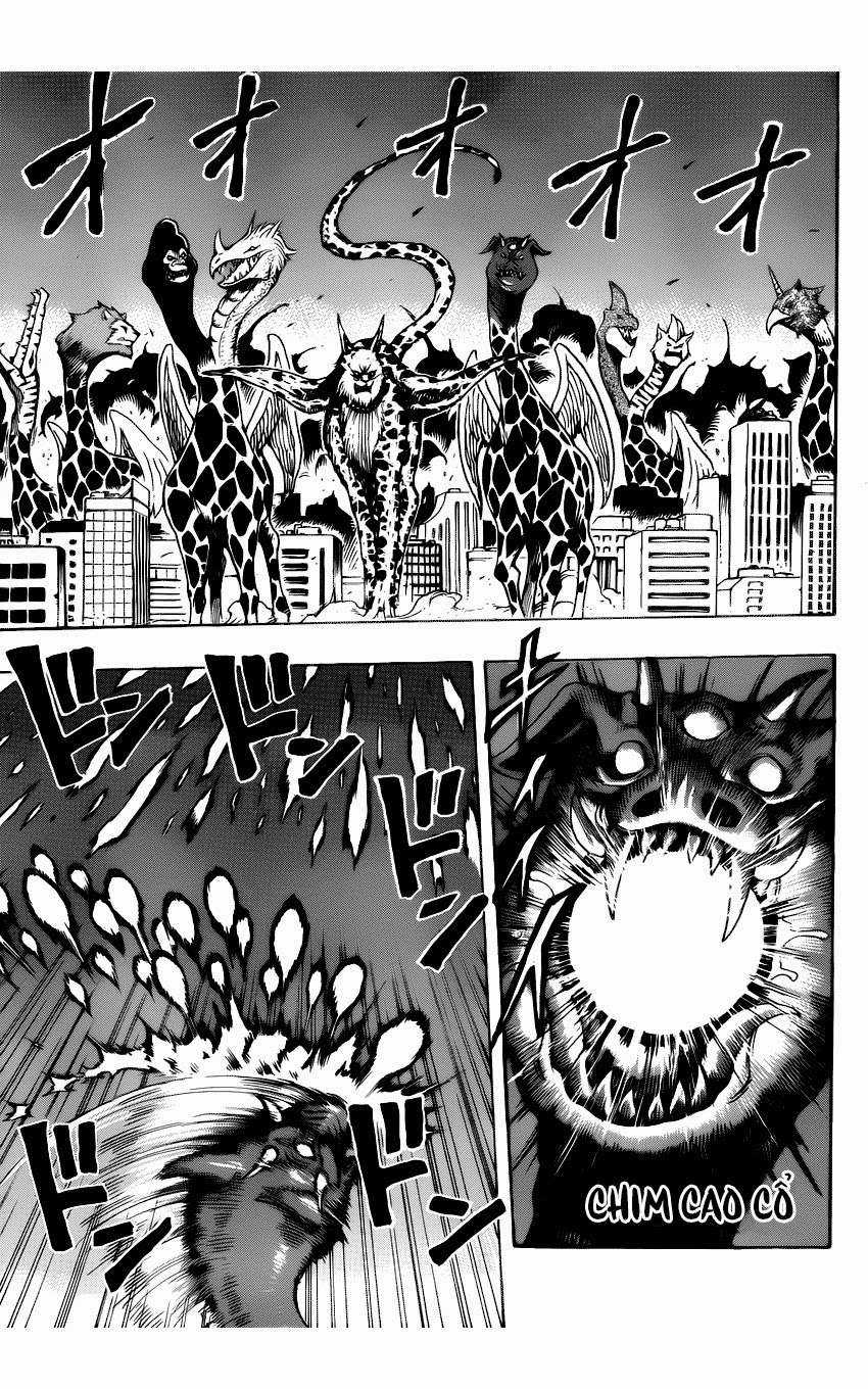 Toriko - Thợ Săn Ẩm Thực - Chapter 255 - Trang 9