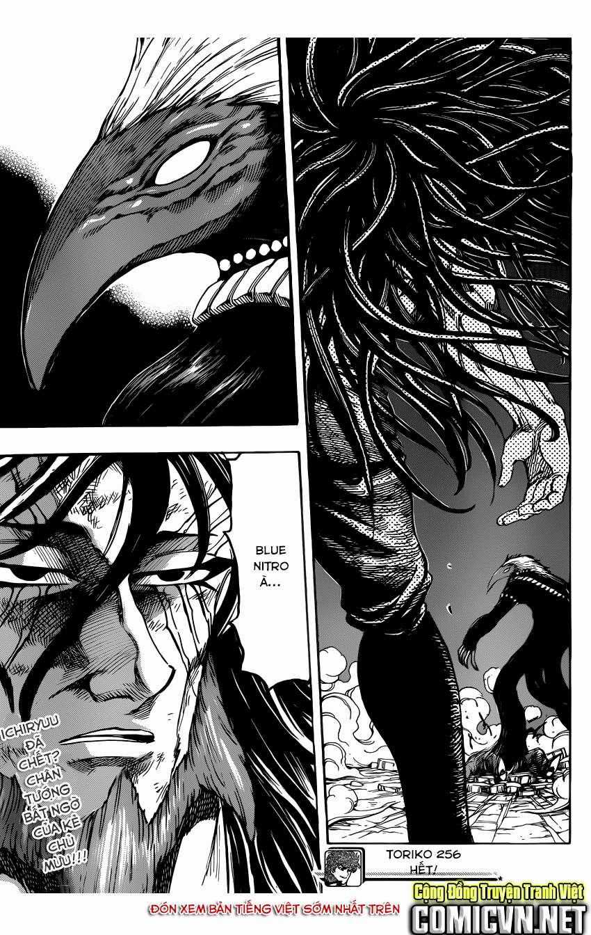 Toriko - Thợ Săn Ẩm Thực - Chapter 256 - Trang 19