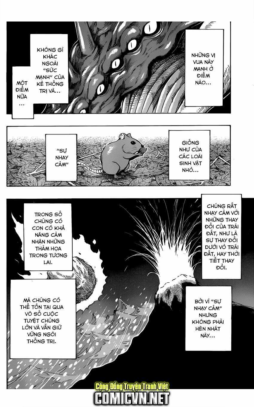 Toriko - Thợ Săn Ẩm Thực - Chapter 256 - Trang 3