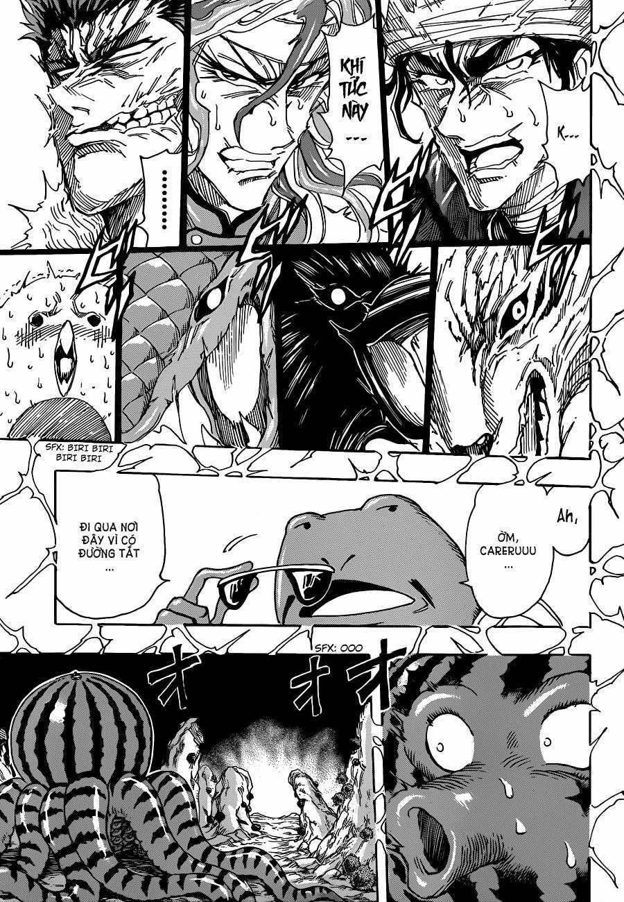 Toriko - Thợ Săn Ẩm Thực - Chapter 277 - Trang 11
