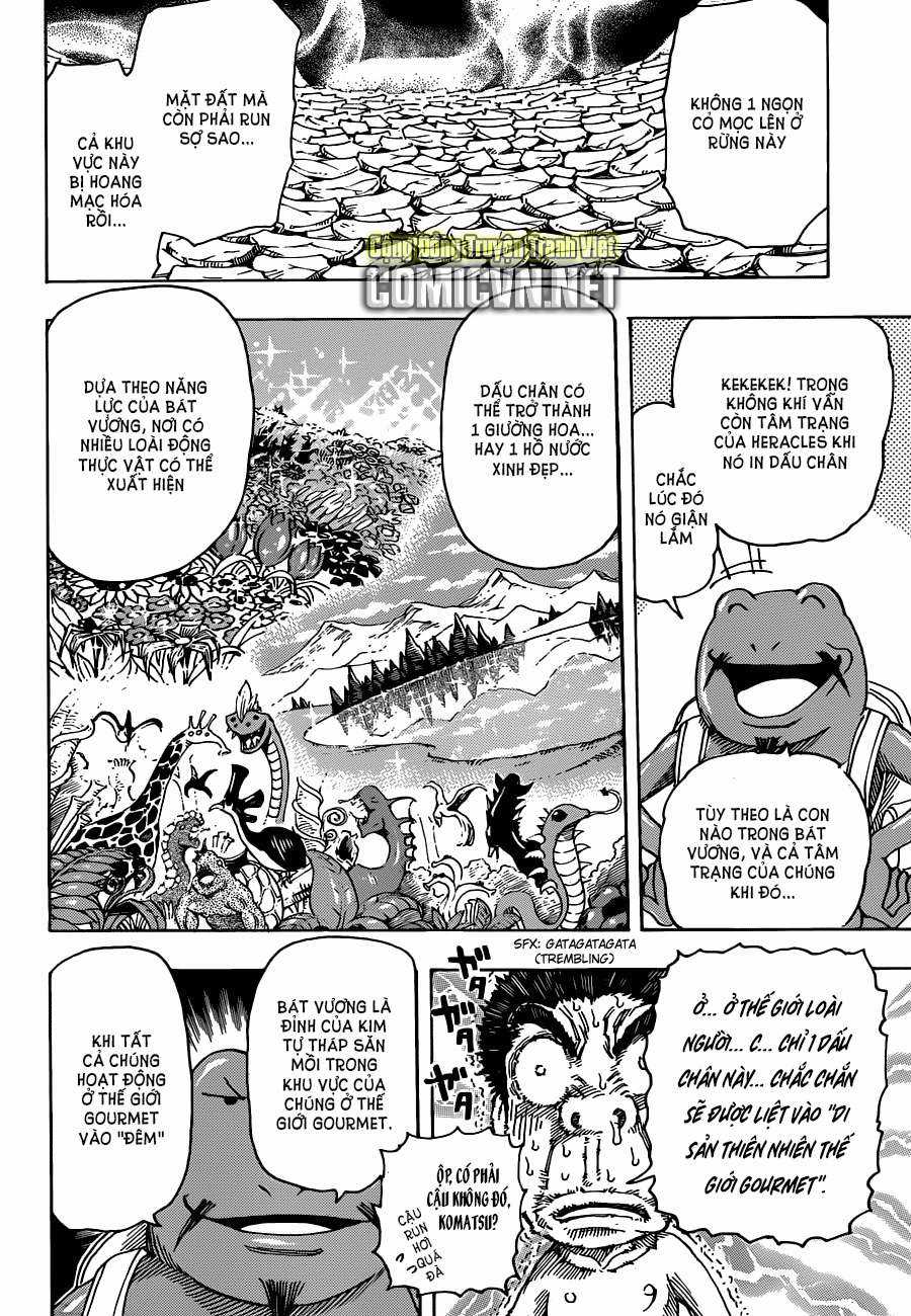 Toriko - Thợ Săn Ẩm Thực - Chapter 277 - Trang 13