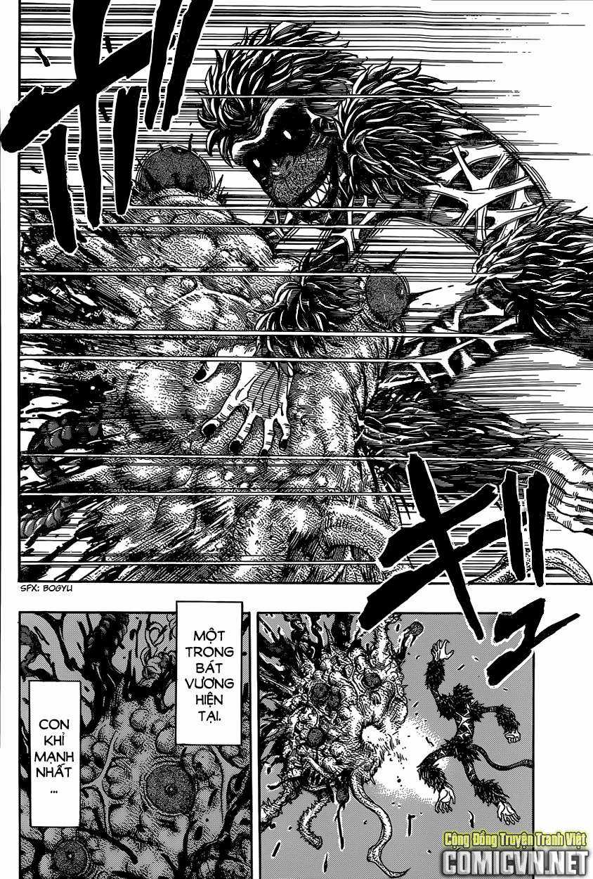 Toriko - Thợ Săn Ẩm Thực - Chapter 341 - Trang 9