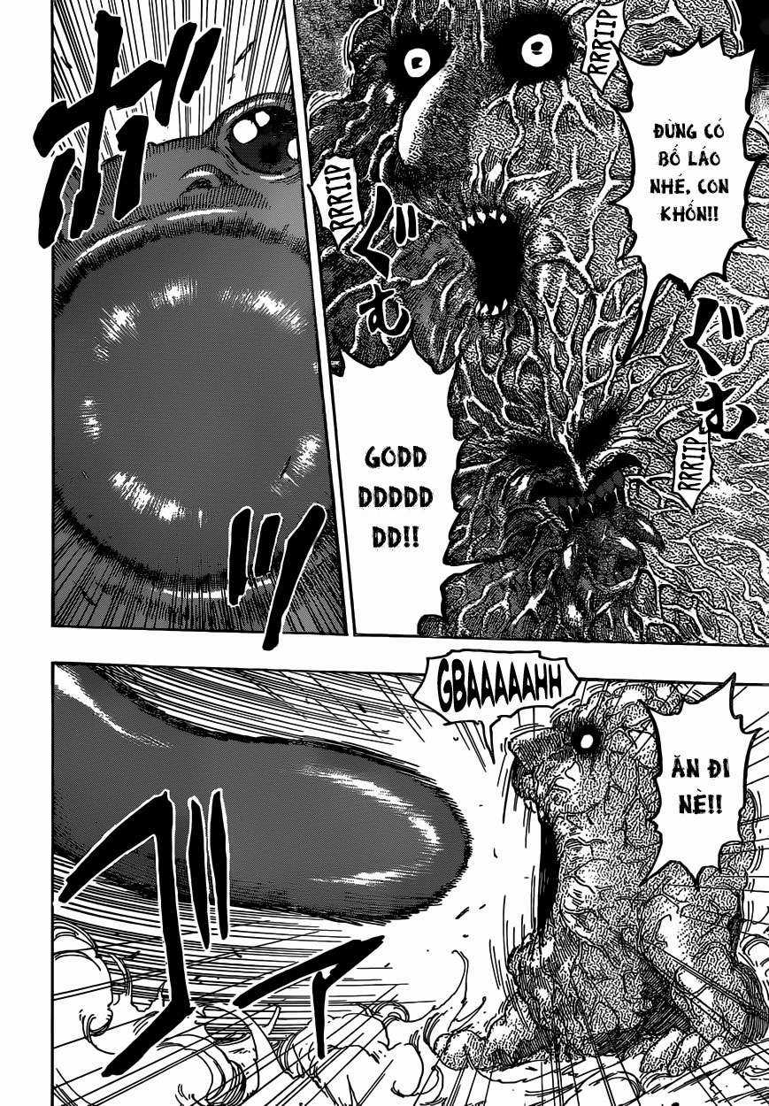 Toriko - Thợ Săn Ẩm Thực - Chapter 375 - Trang 12