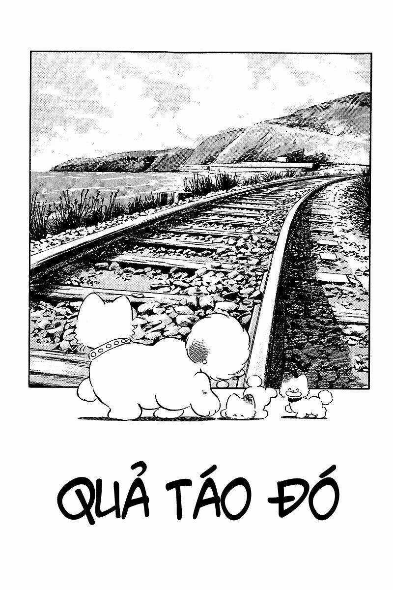 Touch - Chapter 242 - Trang 2