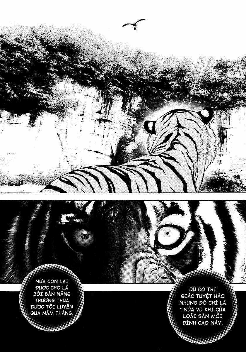 Tough - Miyazawa Kiichi - Chapter 426 - Trang 3