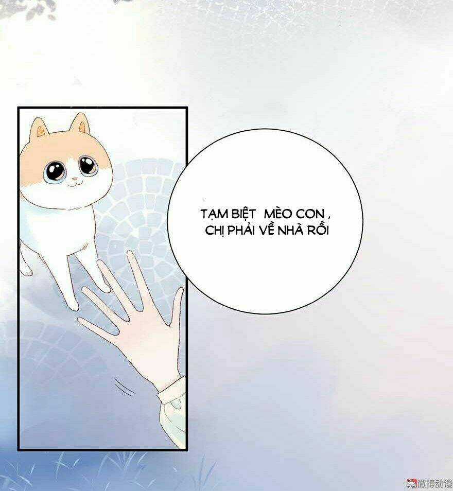 Tra Nam Cút Ra - Chapter 5 - Trang 17