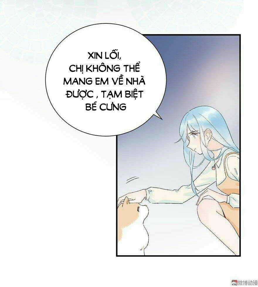 Tra Nam Cút Ra - Chapter 5 - Trang 19