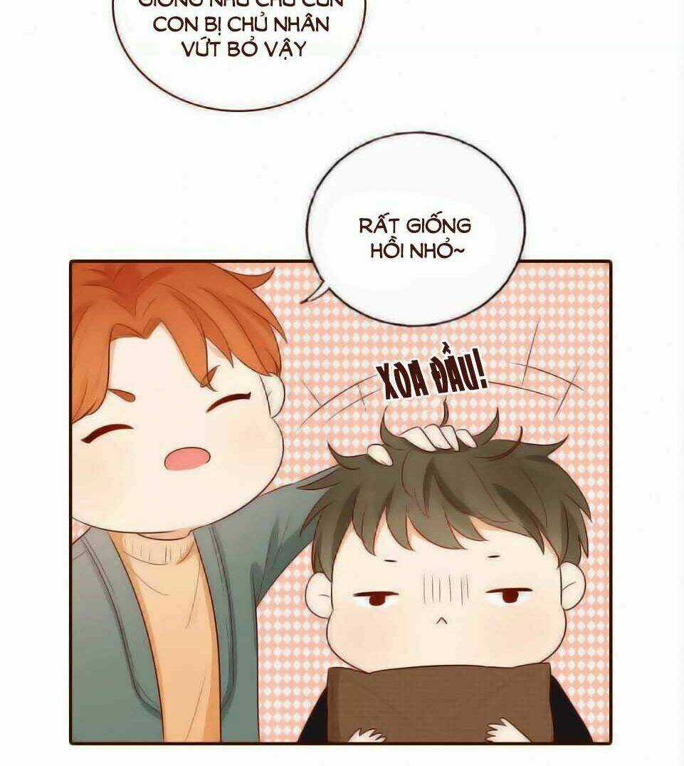 Trái Tim Bí Ẩn - Chapter 62 - Trang 6