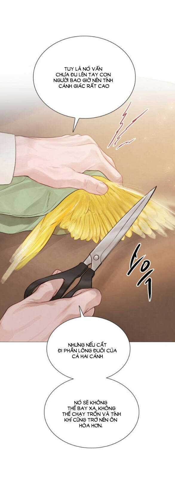 Trái Tim Của Thomas - Chapter 11.2 - Trang 14