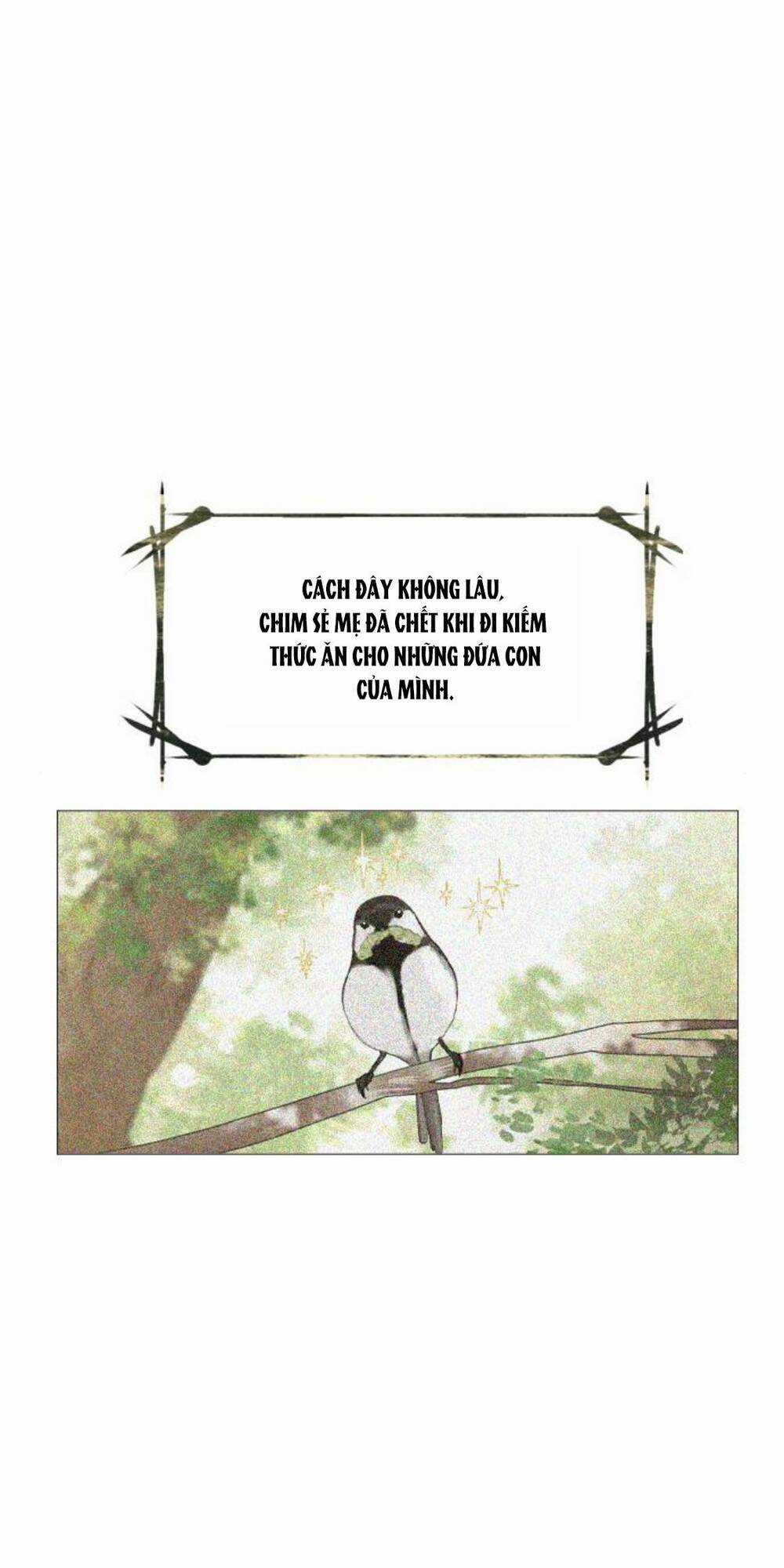 Trái Tim Của Thomas - Chapter 4 - Trang 18