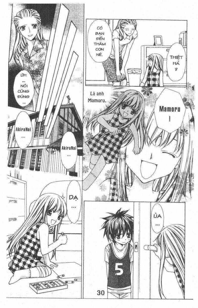 Trái Tim Kim Cương - Chapter 1 - Trang 31