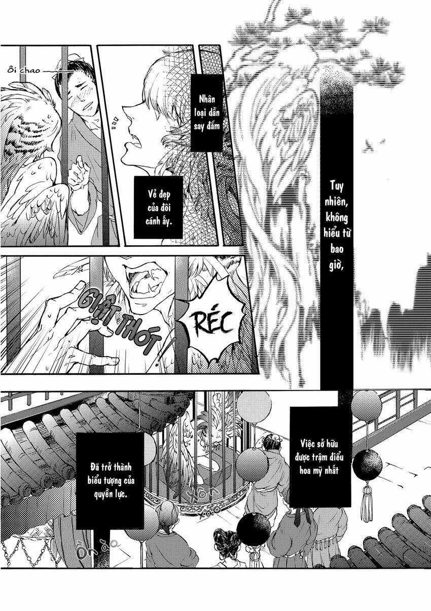 Trậm Điểu - Chapter 1 - Trang 11