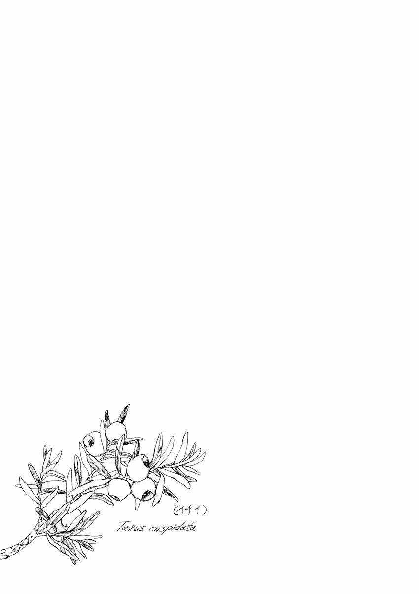 Trậm Điểu - Chapter 4 - Trang 31