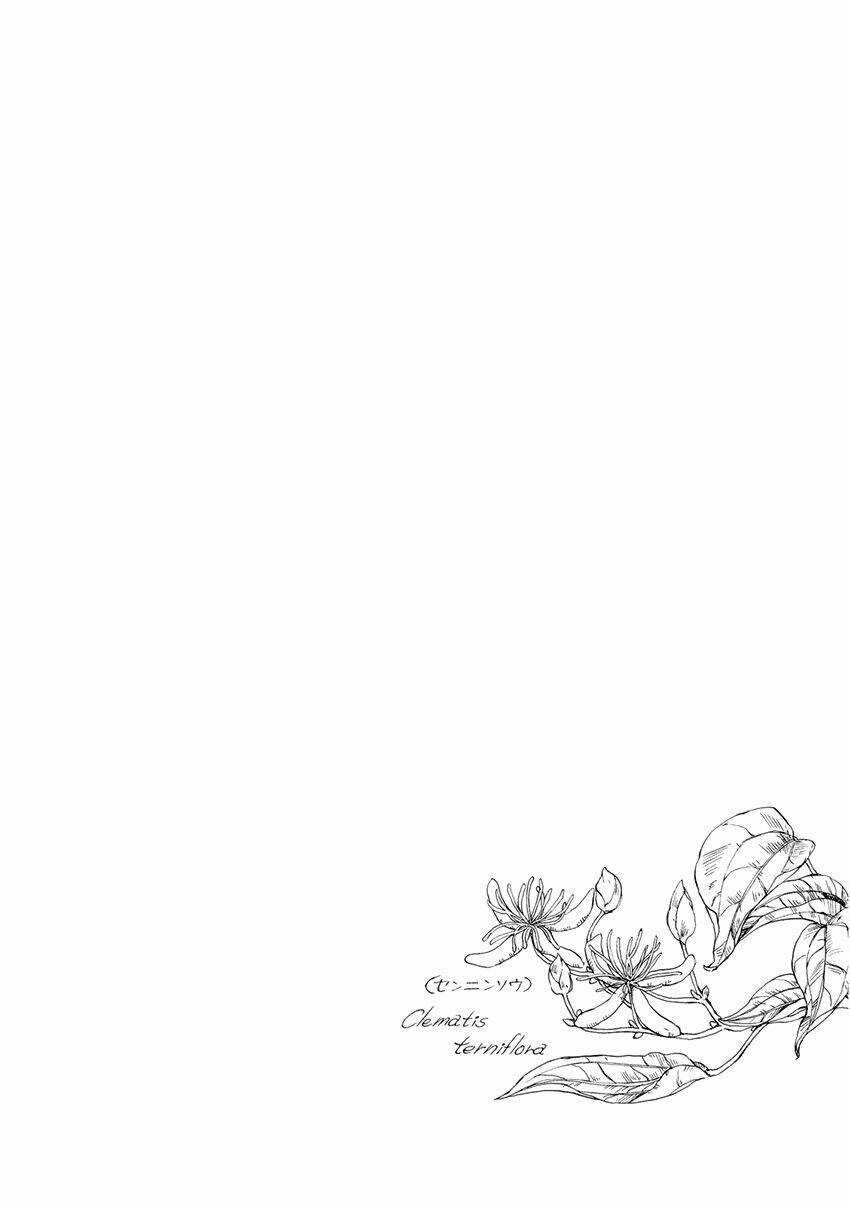 Trậm Điểu - Chapter 4 - Trang 32