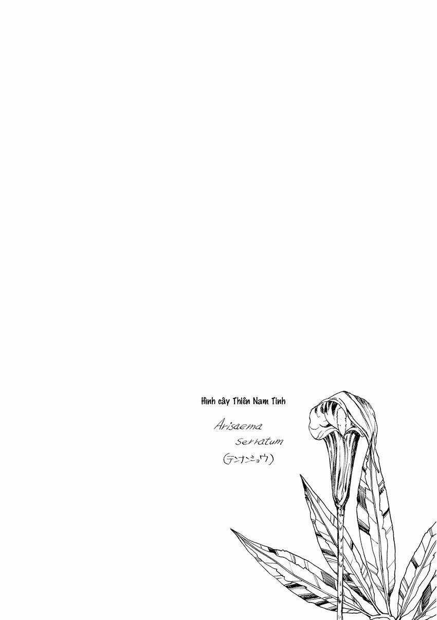 Trậm Điểu - Chapter 6 - Trang 12