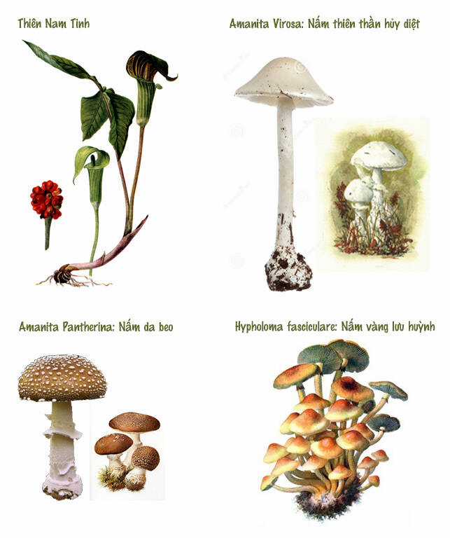 Trậm Điểu - Chapter 6 - Trang 13