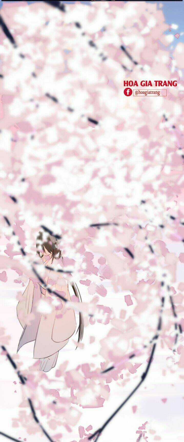 Trần Tình Phú - Chapter 8 - Trang 21