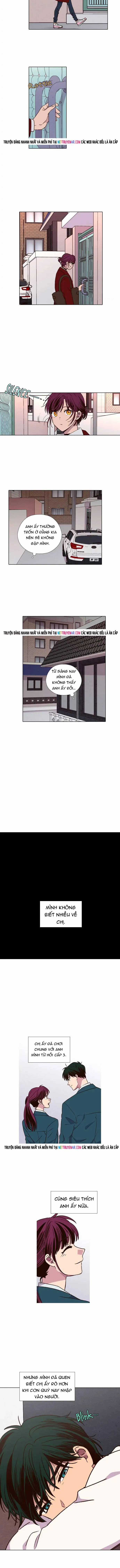 Trăng Lên Ban Ngày - Chapter 174 - Trang 4