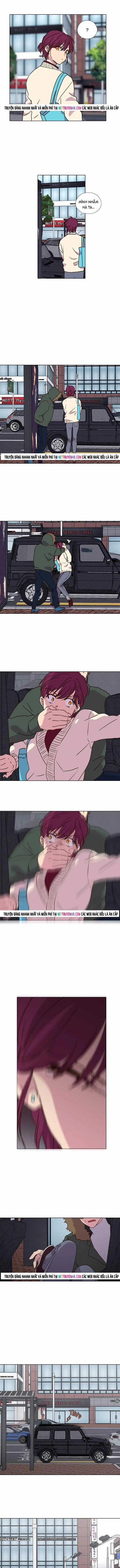Trăng Lên Ban Ngày - Chapter 174 - Trang 8