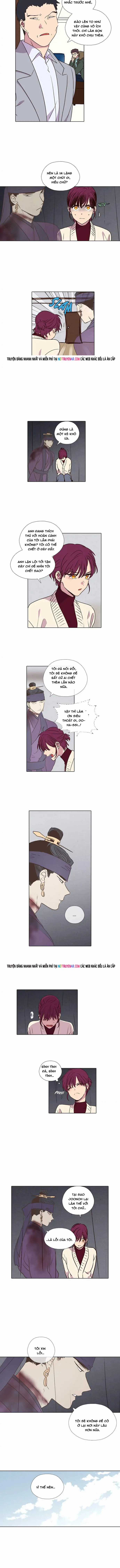 Trăng Lên Ban Ngày - Chapter 176 - Trang 3