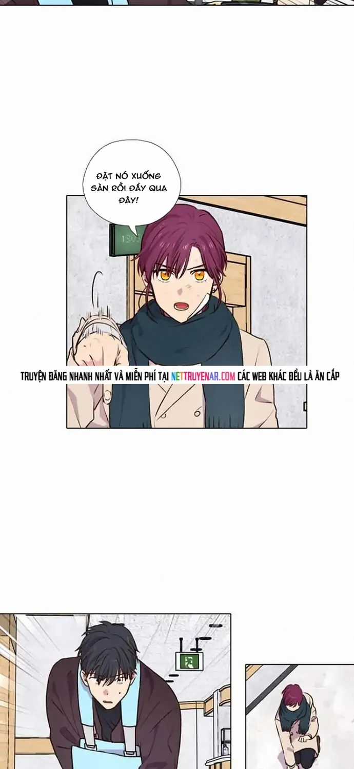 Trăng Lên Ban Ngày - Chapter 191 - Trang 11