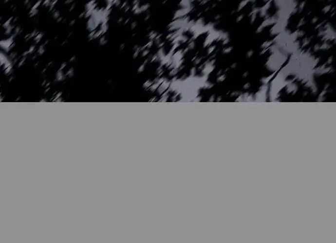 Trăng Lên Ban Ngày - Chapter 193 - Trang 12