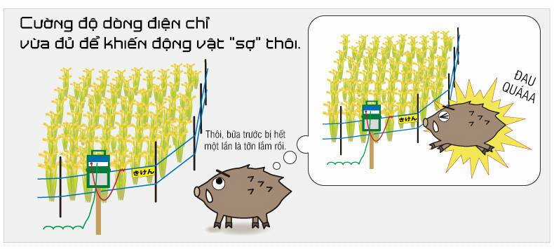 Trap Girl - Chapter 1 - Trang 38