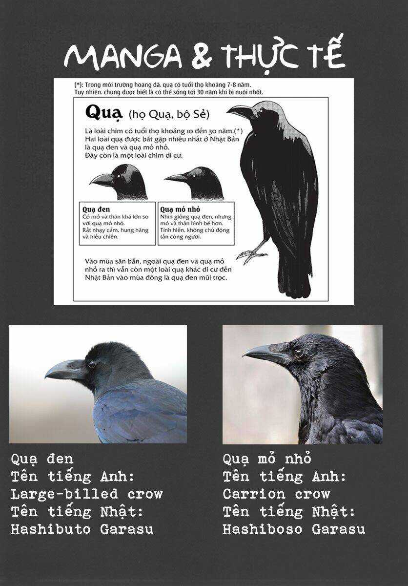 Trap Girl - Chapter 6 - Trang 33