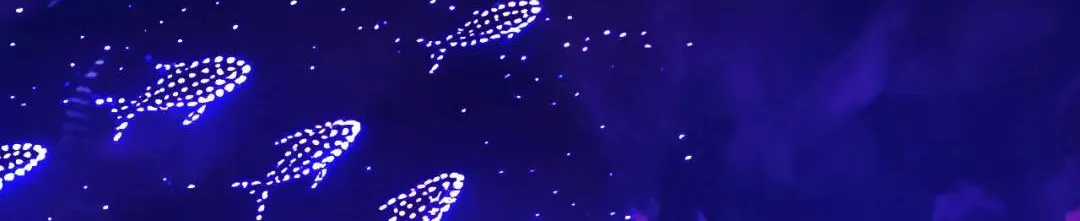 TRÊU NHẦM - Chapter 88 - Trang 28