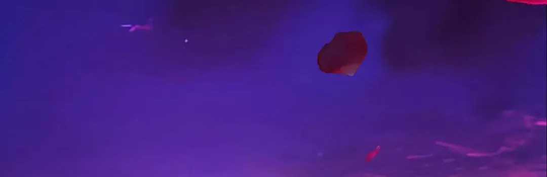 TRÊU NHẦM - Chapter 89 - Trang 71