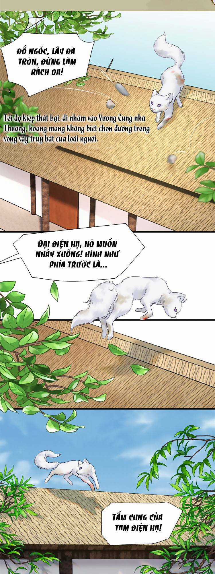 Triều Ca Vị Dĩ - Chapter 1 - Trang 8