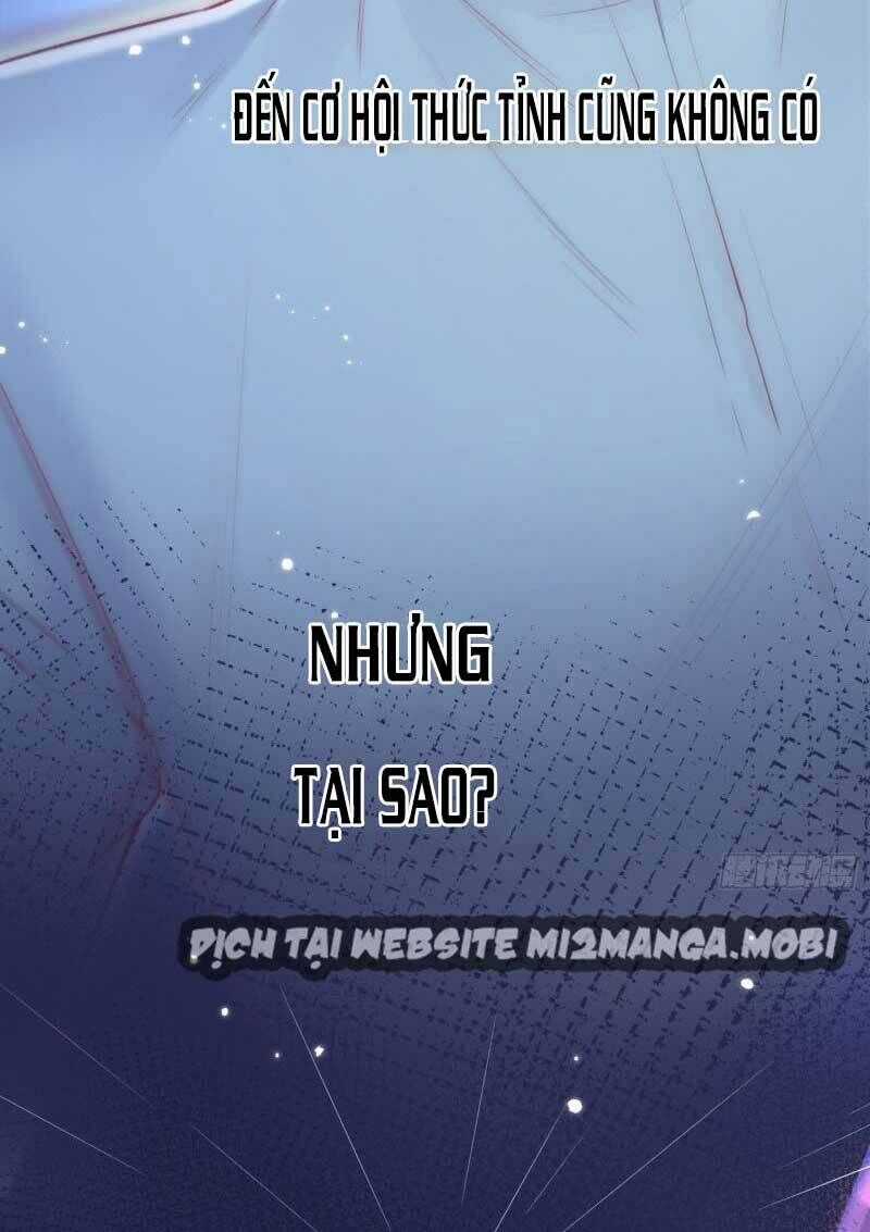 Triều Tây, Con Thích Chú - Chapter 37 - Trang 38