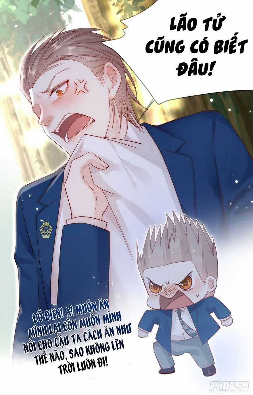 Triều Tây, Con Thích Chú - Chapter 39 - Trang 17