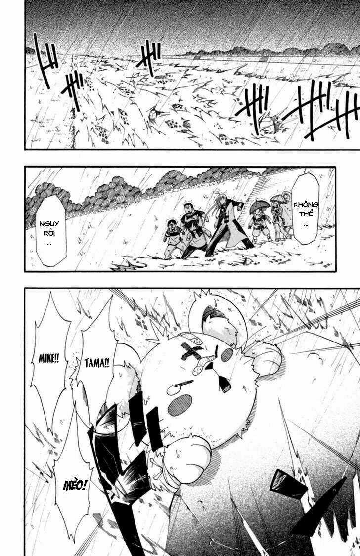 Tripeace - Chapter 2 - Trang 22