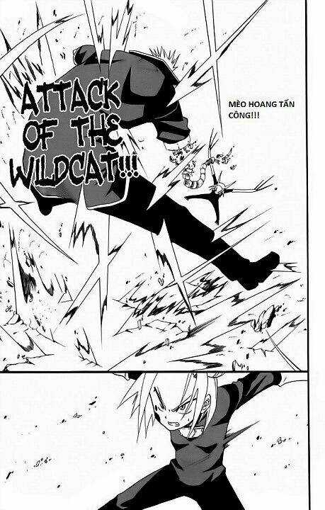 Tripeace - Chapter 27 - Trang 29