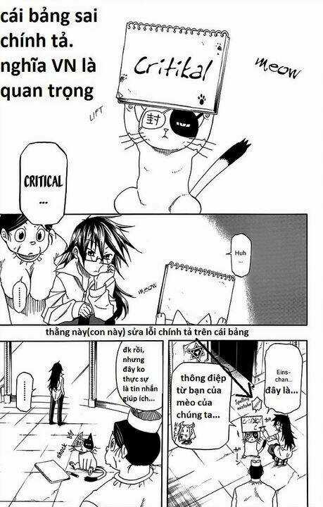 Tripeace - Chapter 29 - Trang 3