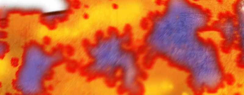 Trò Chơi Của Thần - Chapter 5 - Trang 228