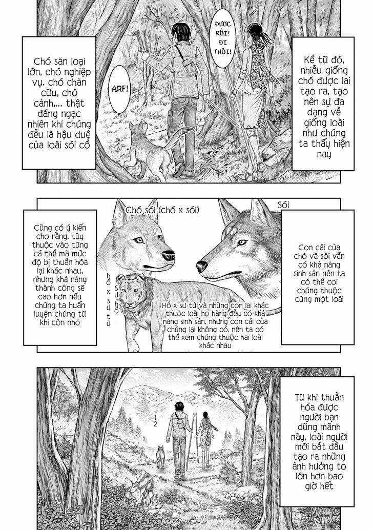 Trở Lại Thời Kì Đồ Đá - Chapter 24 - Trang 7