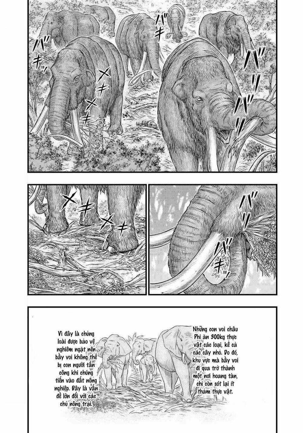 Trở Lại Thời Kì Đồ Đá - Chapter 40 - Trang 15