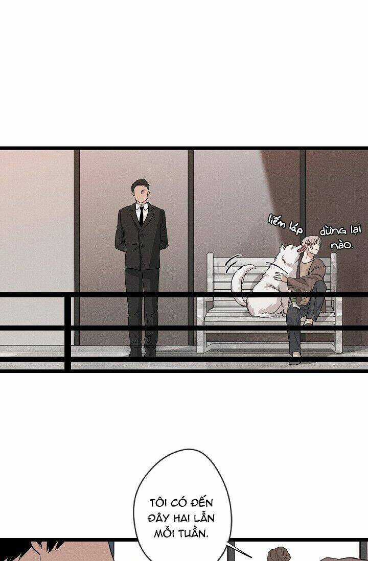 Trốn Tìm - Chapter 1 - Trang 27