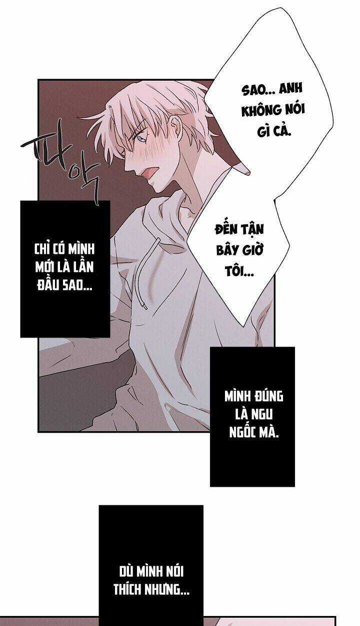 Trốn Tìm - Chapter 22 - Trang 29