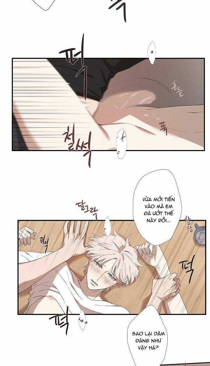 Trốn Tìm - Chapter 27 - Trang 28