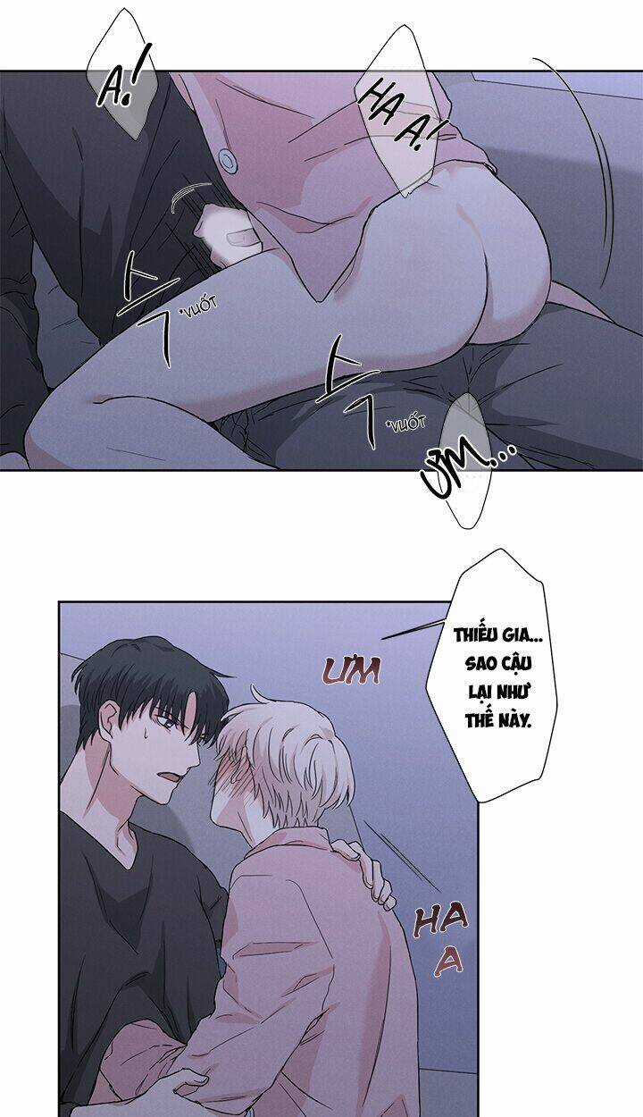 Trốn Tìm - Chapter 8 - Trang 19