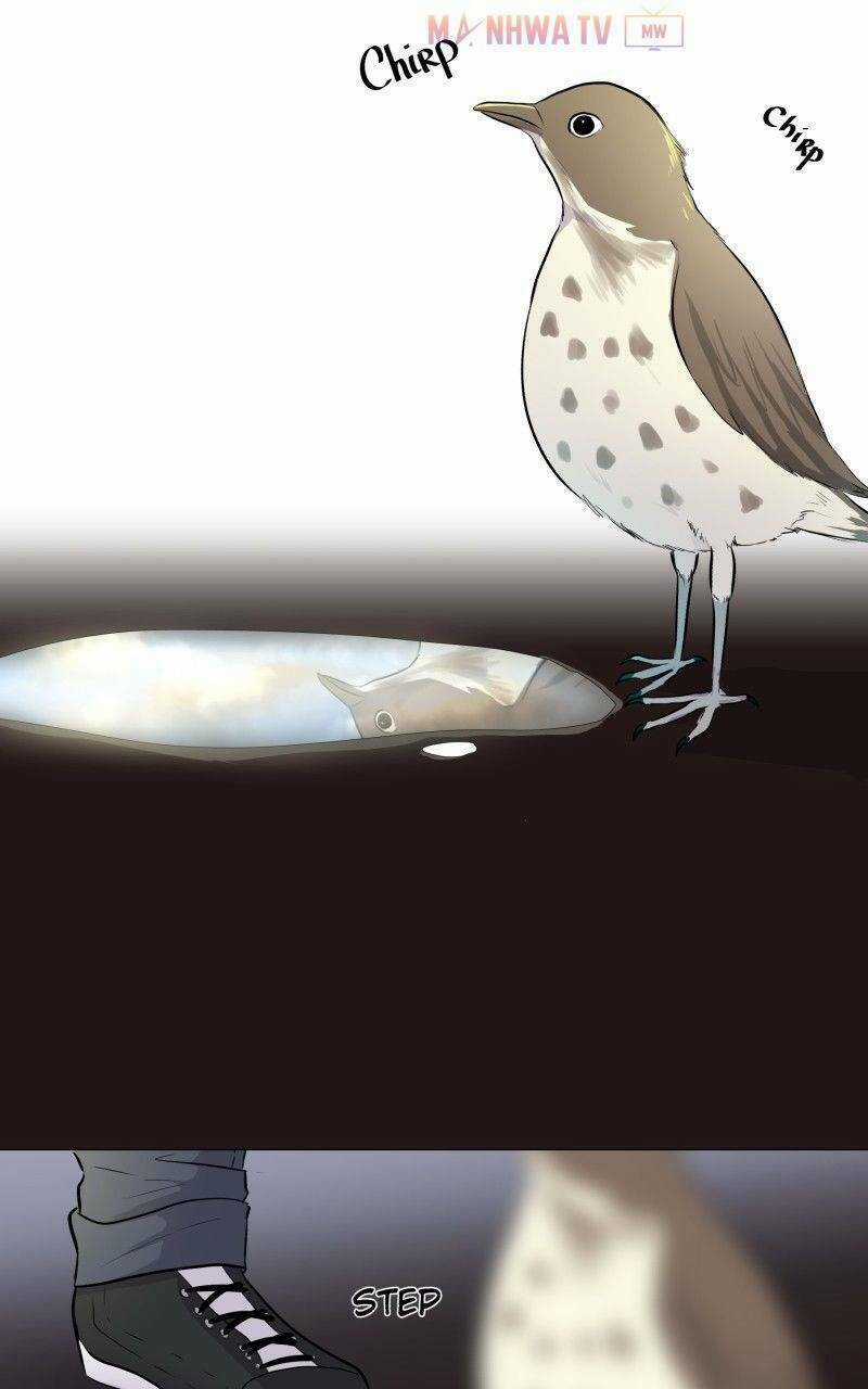 Trọng Sinh Mạc Thế - Chapter 11 - Trang 6