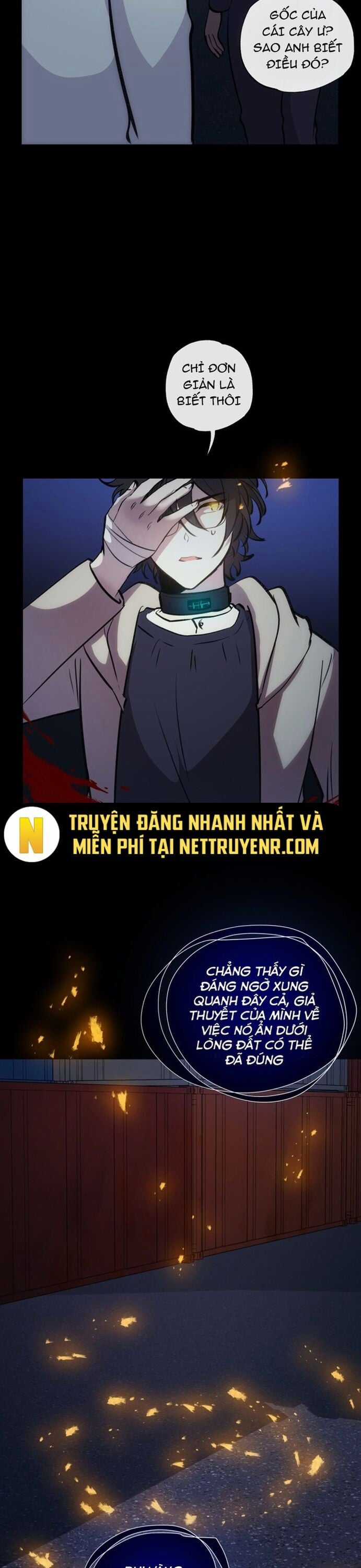 Trọng Sinh Mạc Thế - Chapter 146 - Trang 4