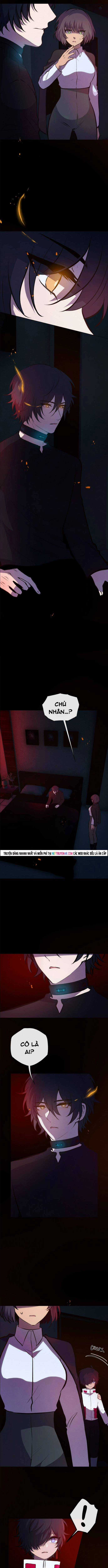 Trọng Sinh Mạc Thế - Chapter 196 - Trang 7