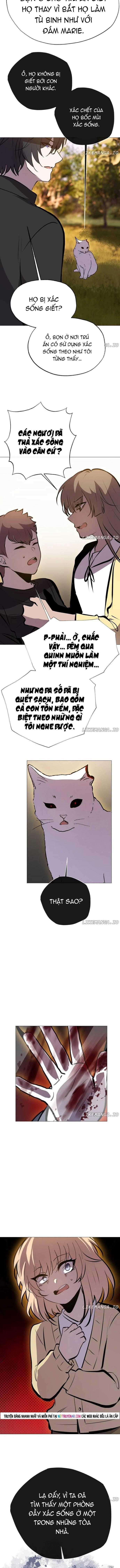 Trọng Sinh Mạc Thế - Chapter 215 - Trang 11