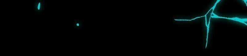 Trọng Sinh Mạc Thế - Chapter 64 - Trang 61