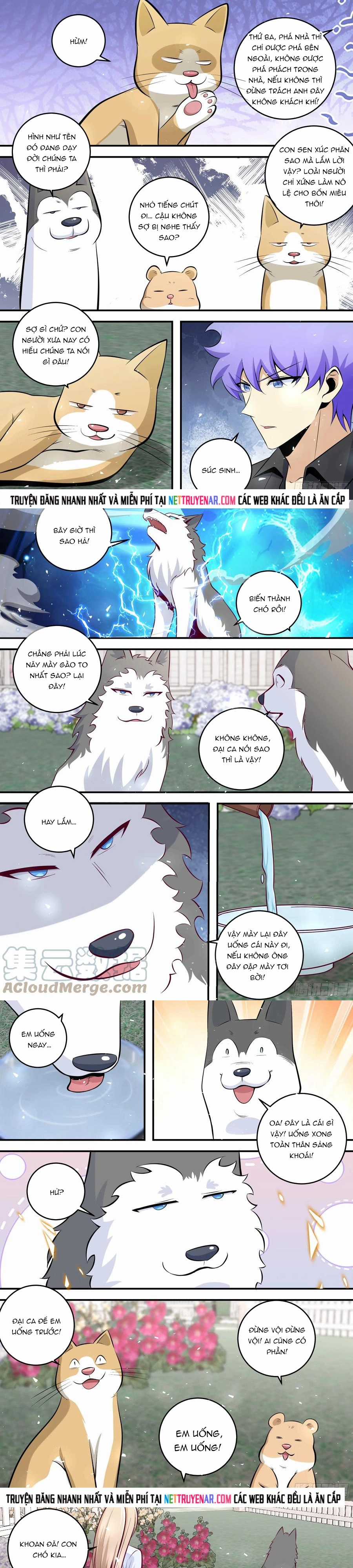 Trọng Sinh Thành Chó Của Nữ Thần - Chapter 454 - Trang 4